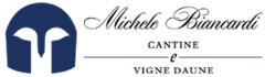 MICHELE BIANCARDI